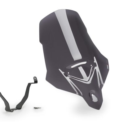 CUPULA TOURING TRIUMPH TIGER SPORT 660 22'- C/AHUM